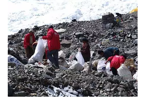 你被“垃圾分類(lèi)”洗腦了嗎？揭秘強(qiáng)制分類(lèi)背后的驚天秘密！-