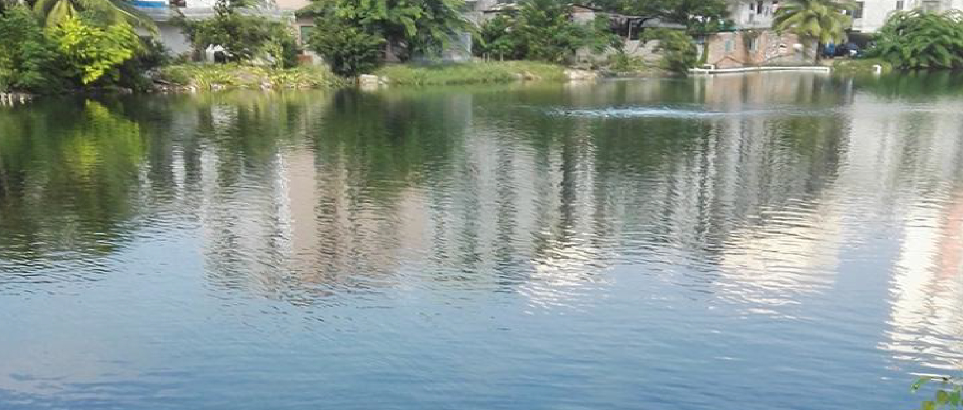 2023黑臭水體整治新動(dòng)作不斷！問題到底怎么破？