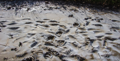 換季污泥膨脹，怎么辦？