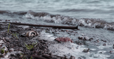 103條黑臭水體！江蘇2024年全省農(nóng)村環(huán)境整治工作計劃！
