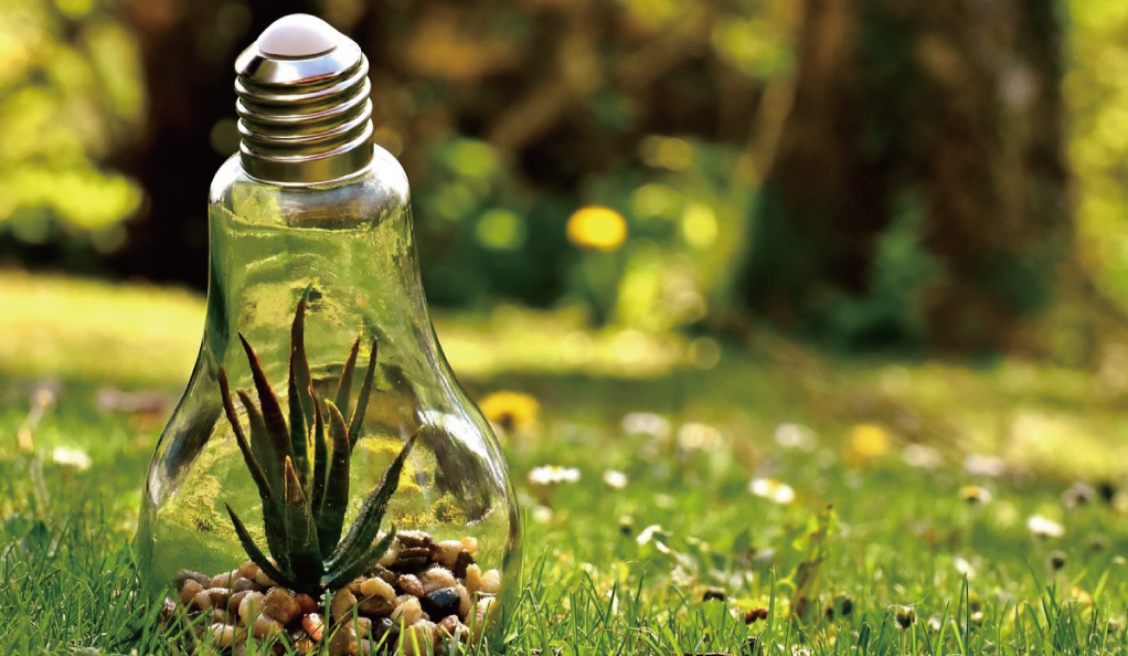 中央生態(tài)環(huán)境保護督察通報江蘇典型案例：部分水體返臭返黑