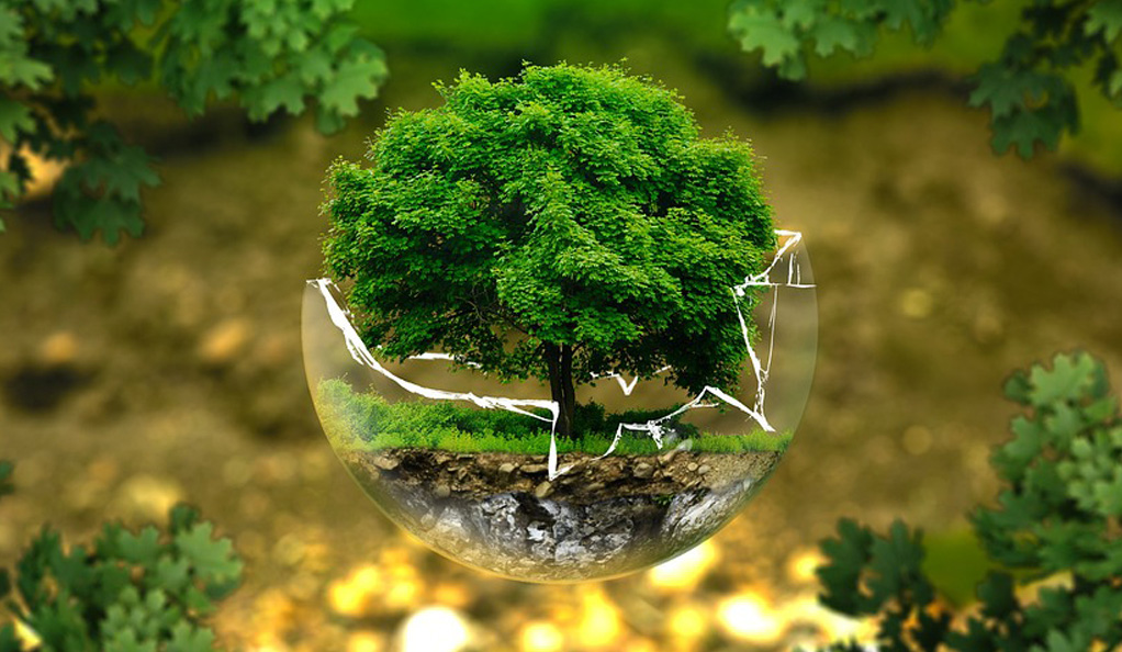 中國水環(huán)境集團：綠色低碳技術驅(qū)動水務價值重構